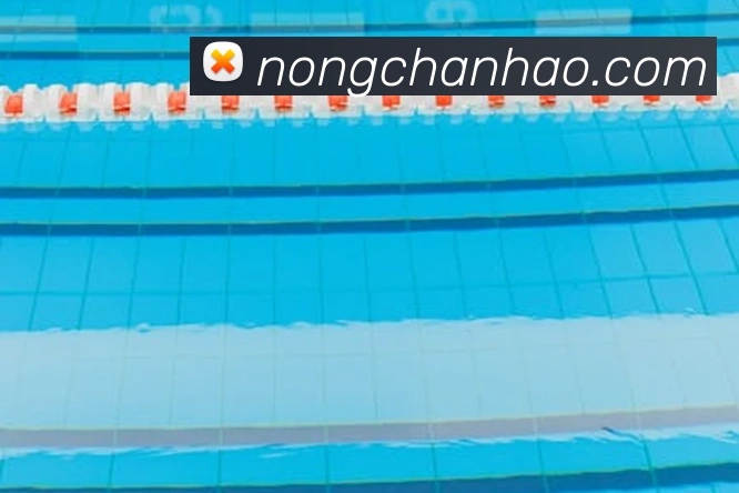 扫码下载 App